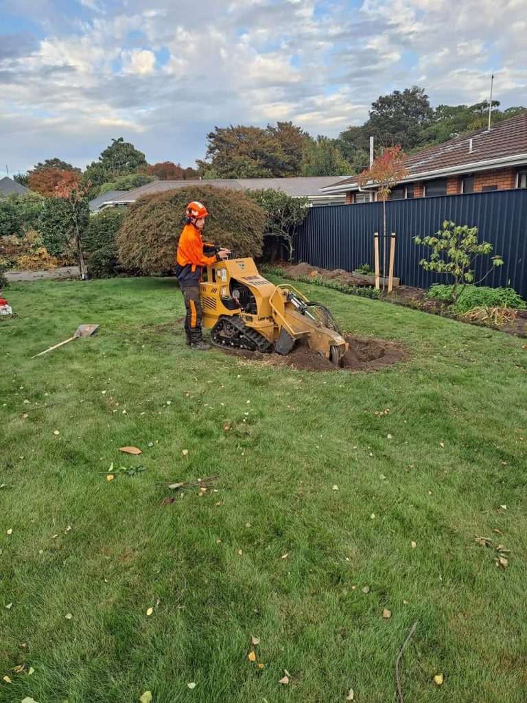 Christchurch stump grinding to remove trees completely from your garden, lawn or farm